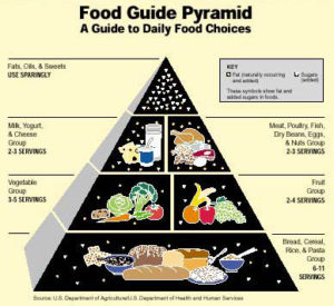 food pyramid